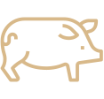 Иконка категории - Комбикорм для свиней